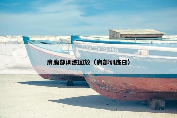 肩腹部训练回放（肩部训练日）