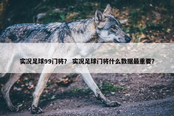 实况足球99门将？ 实况足球门将什么数据最重要？