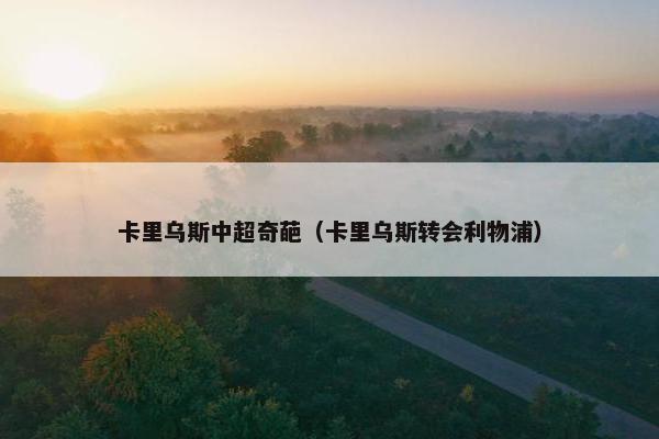 卡里乌斯中超奇葩（卡里乌斯转会利物浦）