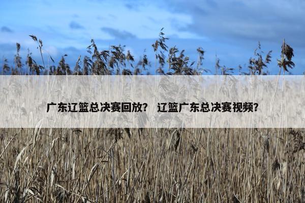 广东辽篮总决赛回放? 辽篮广东总决赛视频? 广东辽篮总决赛回放? 辽篮广东总决赛视频?