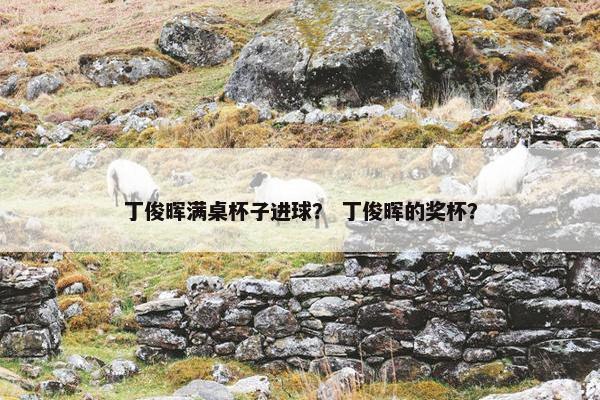 丁俊晖满桌杯子进球? 丁俊晖的奖杯? 丁俊晖满桌杯子进球? 丁俊晖的奖杯?