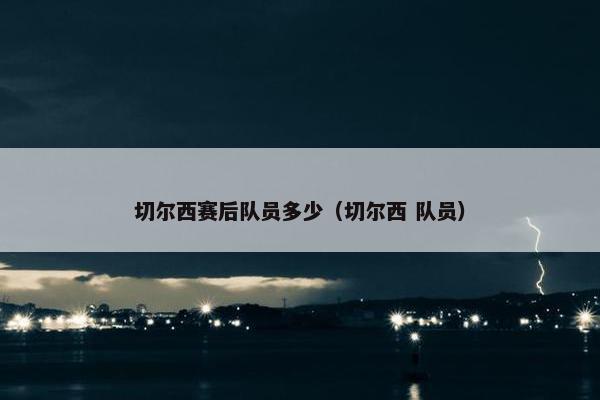 切尔西赛后队员多少（切尔西 队员）