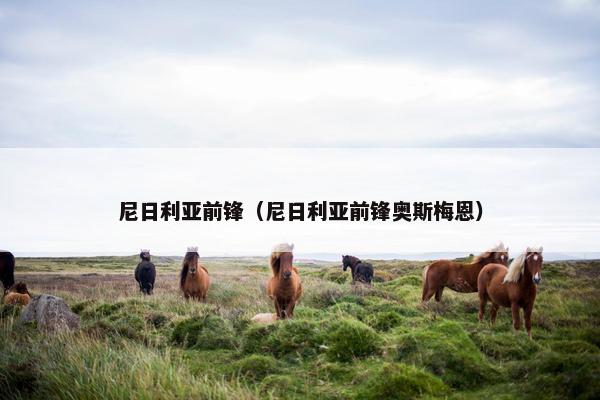 尼日利亚前锋（尼日利亚前锋奥斯梅恩）